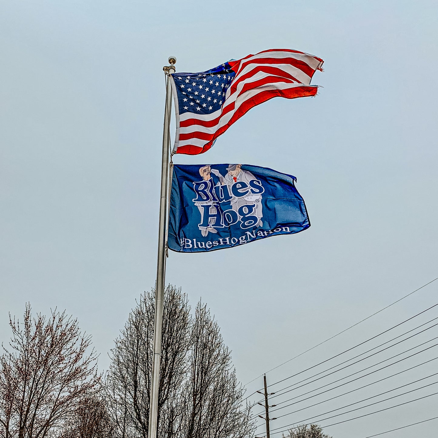 2.5ftx4ft Flag - Blues Hog - Blues Hog