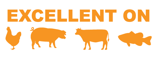 animal