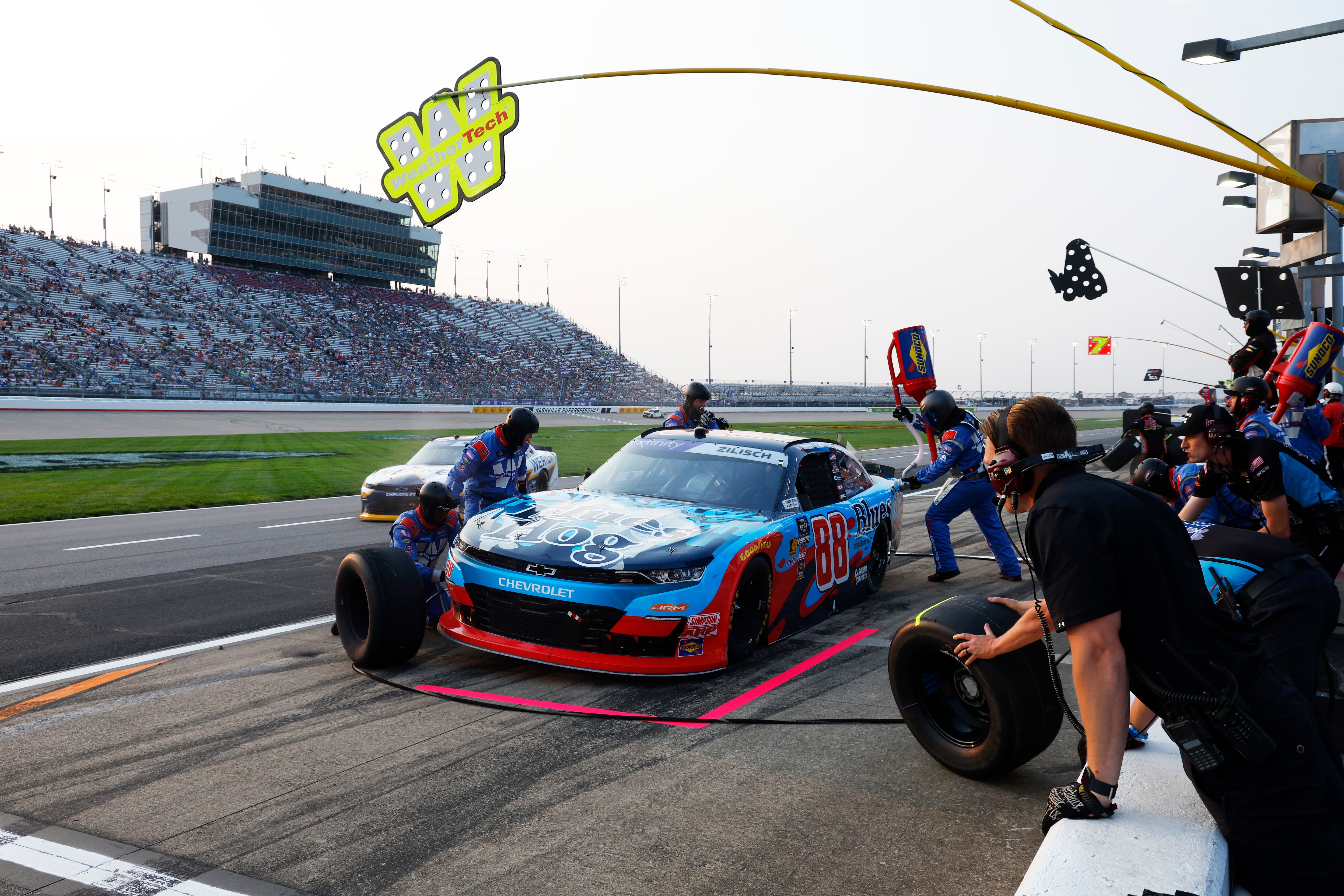 Racing – Blues Hog